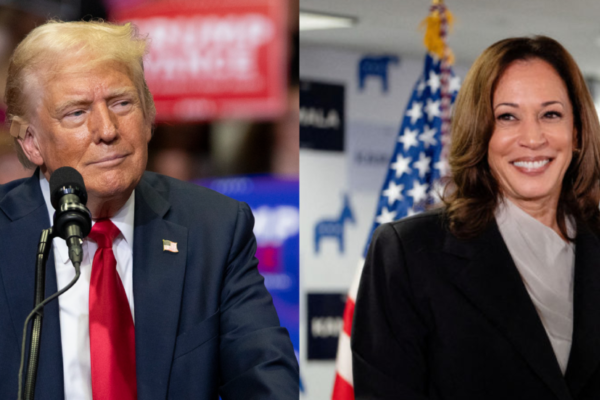 US Presidential Election Polls 2024: Trump vs. Harris